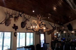 Various 20-80 pound big game mounts and art hang