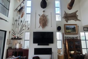 Unique game mount and art hang