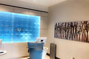 Commercial Art Installation in Austin and Dallas